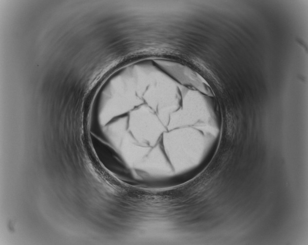 X0000101960486200808081531