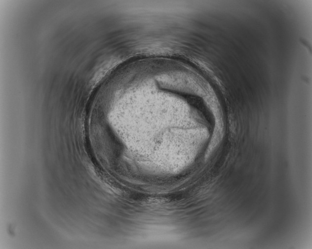 X0000101960487200808081531