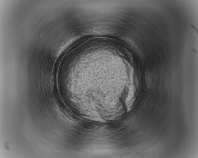 X0000101960488200808081531