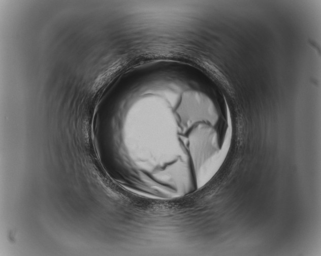 X0000101960489200808081531