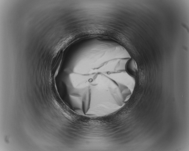 X0000101960490200808081531
