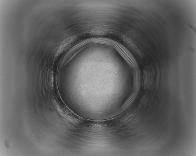 X0000101960494200808081531