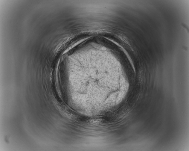 X0000101960495200808081531