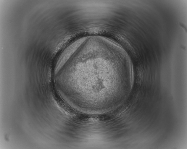 X0000101960496200808081531