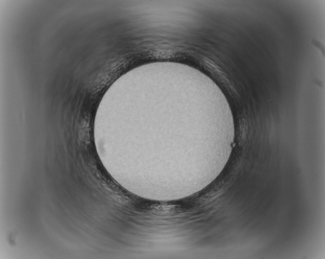 X0000101960497200808081531