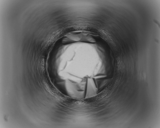 X0000101960498200808081531