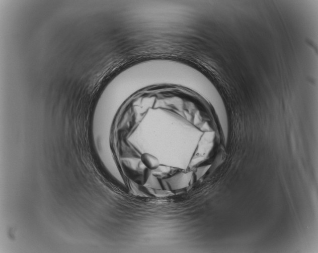 X0000101960499200808081531