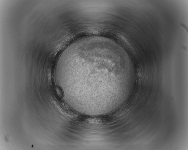 X0000101960500200808081531