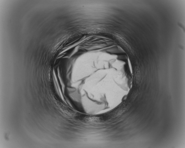X0000101960501200808081531