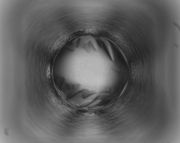 X0000101960502200808081531