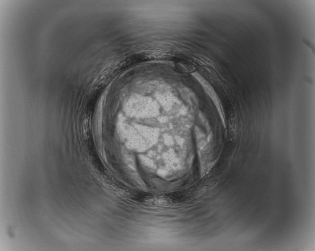 X0000101960503200808081531