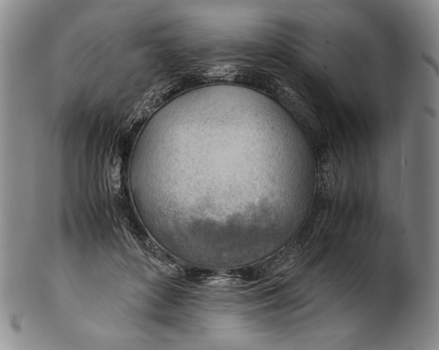 X0000101960504200808081531