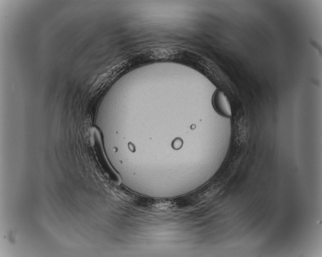 X0000101960505200808081531