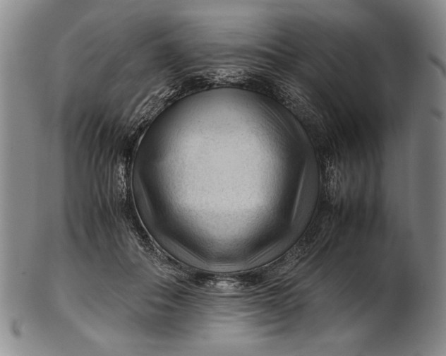 X0000101960506200808081531