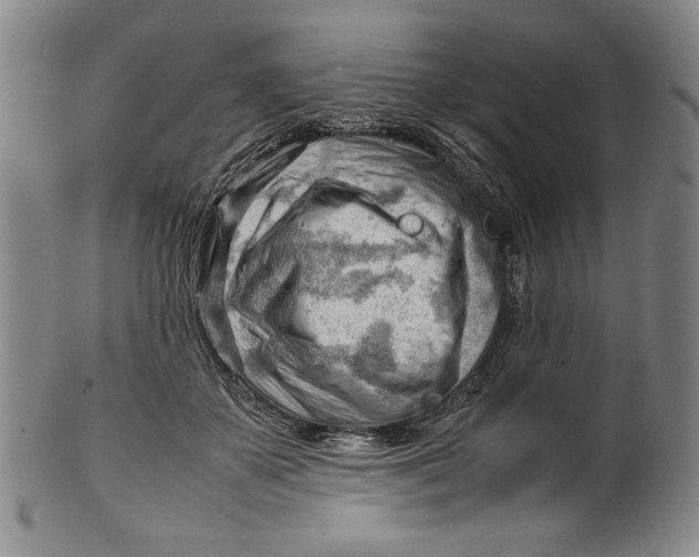 X0000101960507200808081531