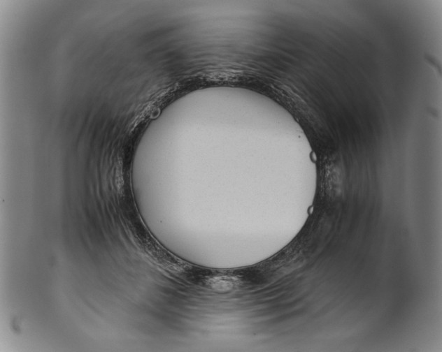 X0000101960508200808081531
