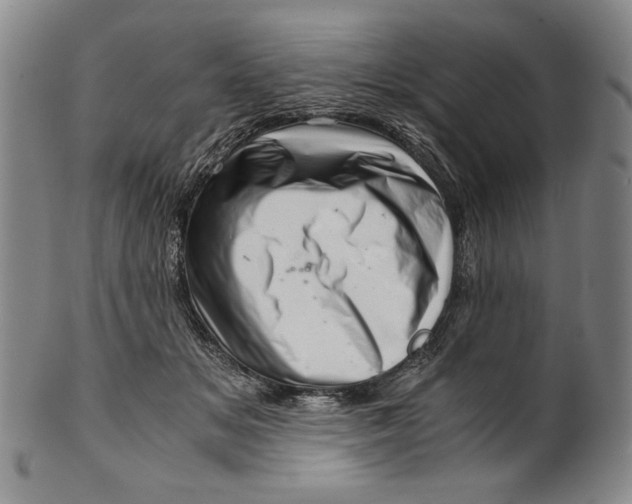 X0000101960509200808081531