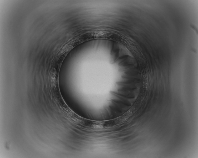 X0000101960510200808081531