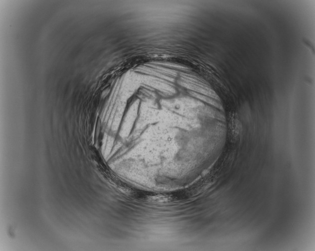 X0000101960511200808081531