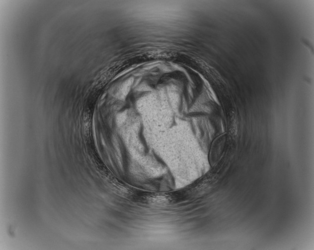 X0000101960513200808081531