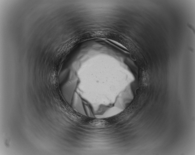 X0000101960514200808081531