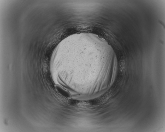 X0000101960515200808081531