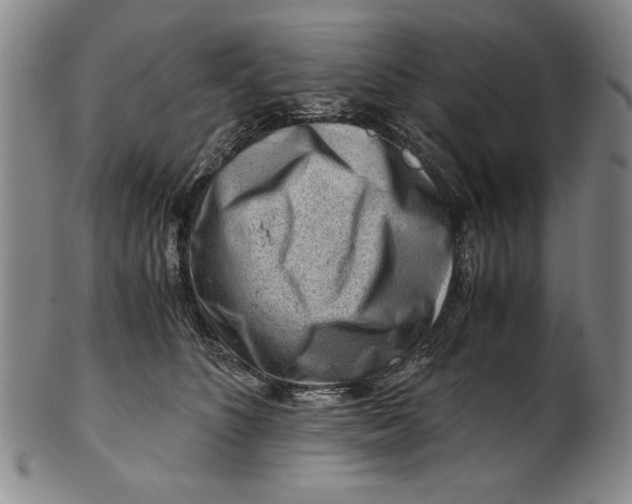 X0000101960516200808081531
