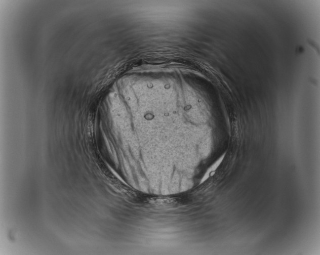 X0000101960517200808081531