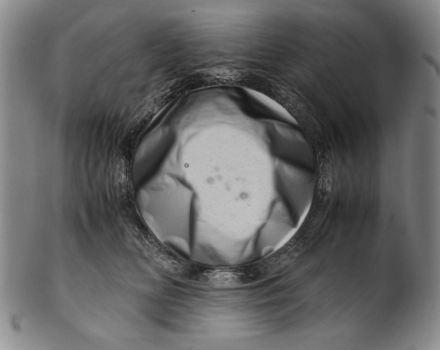 X0000101960518200808081531