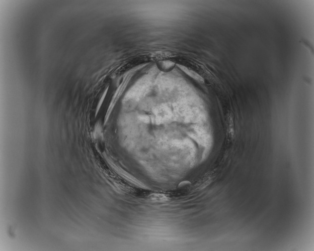 X0000101960519200808081531