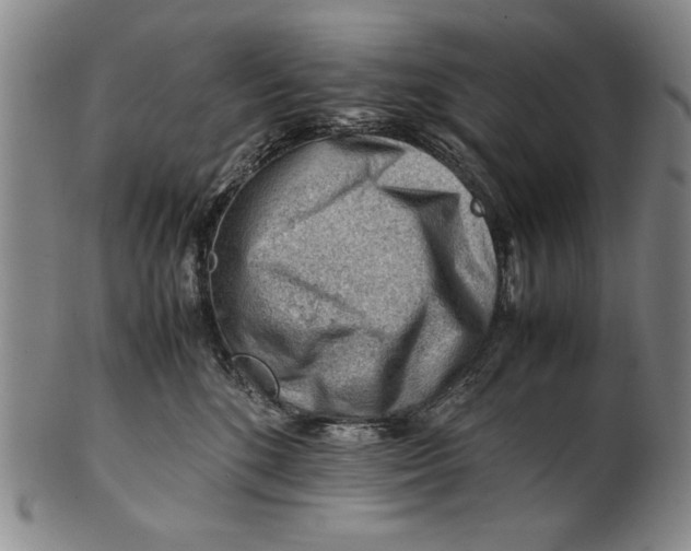 X0000101960520200808081531