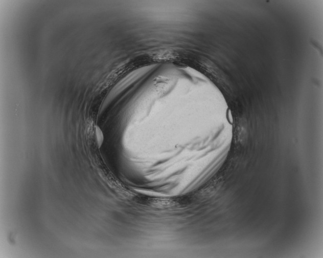 X0000101960521200808081531