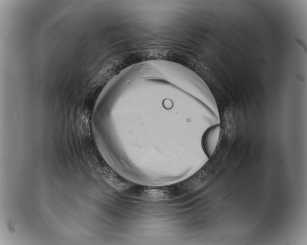 X0000101960522200808081531