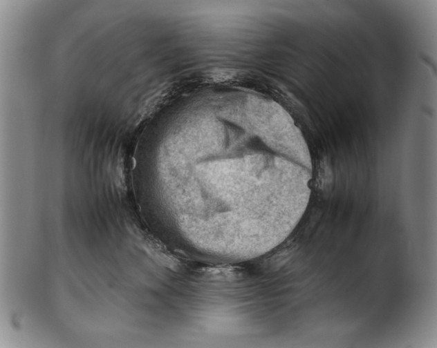 X0000101960524200808081531