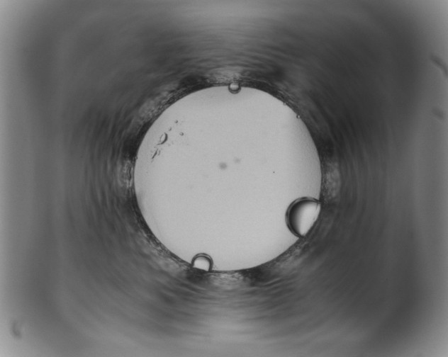X0000101960525200808081531