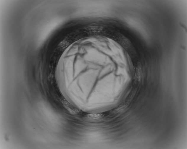 X0000101960526200808081531