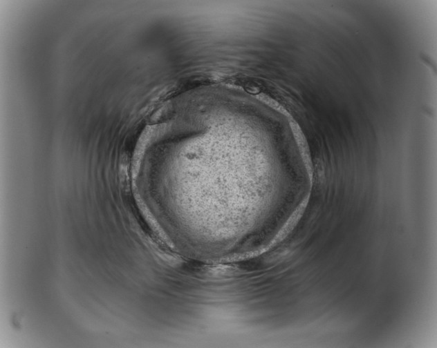 X0000101960527200808081531