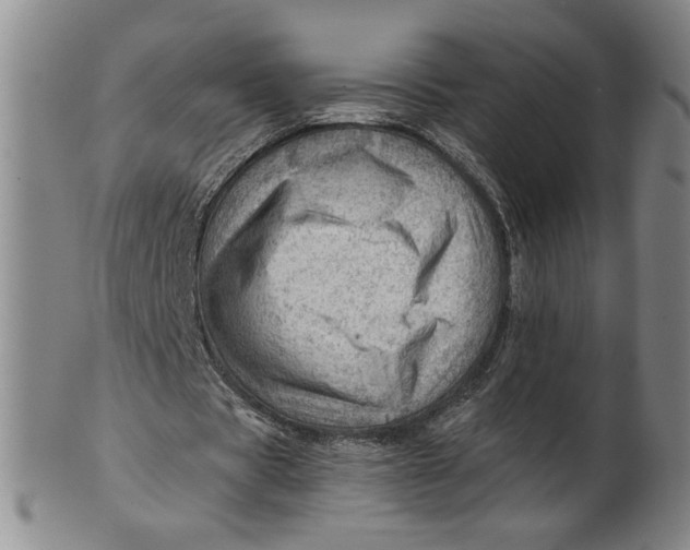 X0000101960529200808081530
