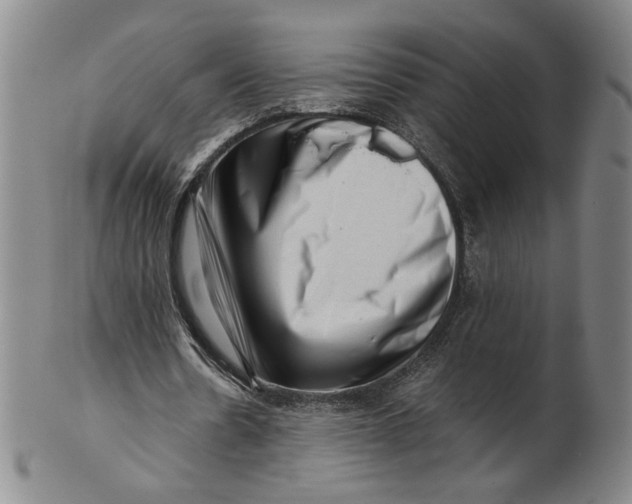 X0000101960530200808081530