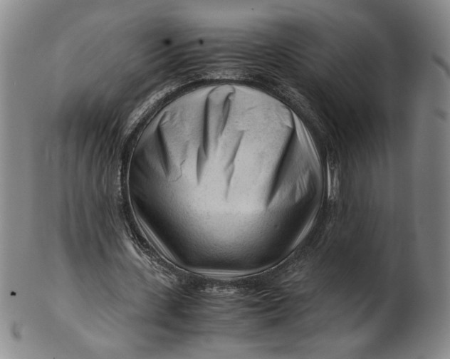 X0000101960531200808081530