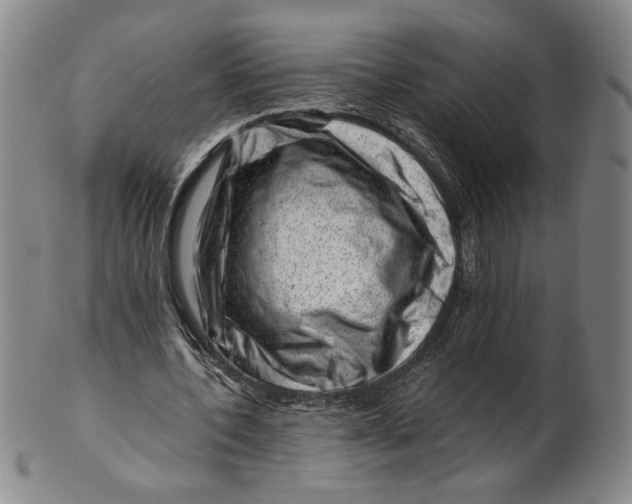 X0000101960532200808081530