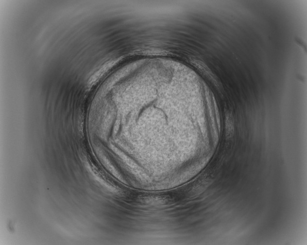 X0000101960533200808081530