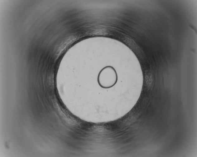 X0000101960534200808081530
