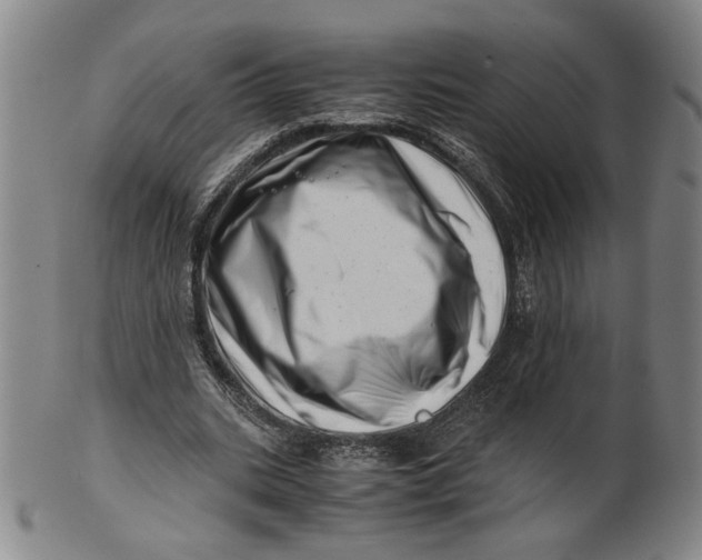 X0000101960535200808081530