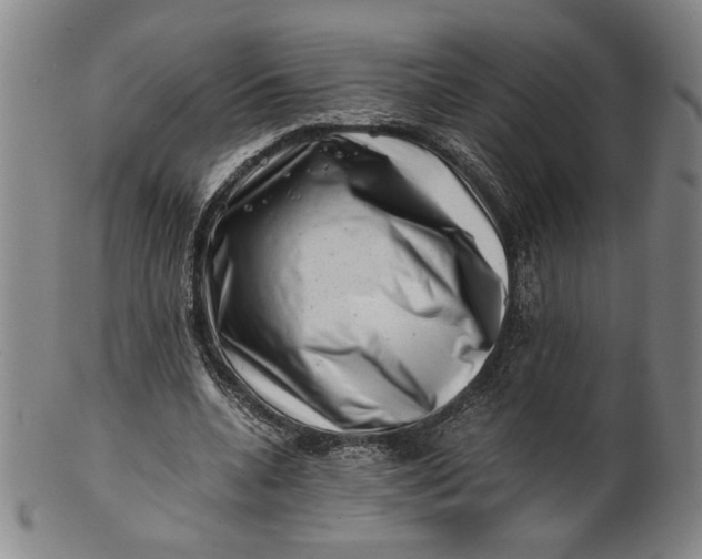 X0000101960536200808081530
