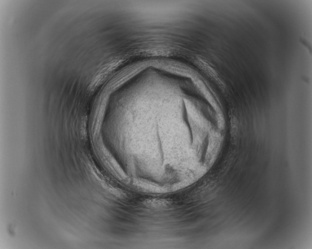 X0000101960537200808081530