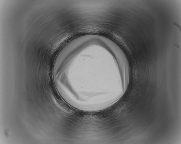 X0000101960538200808081530