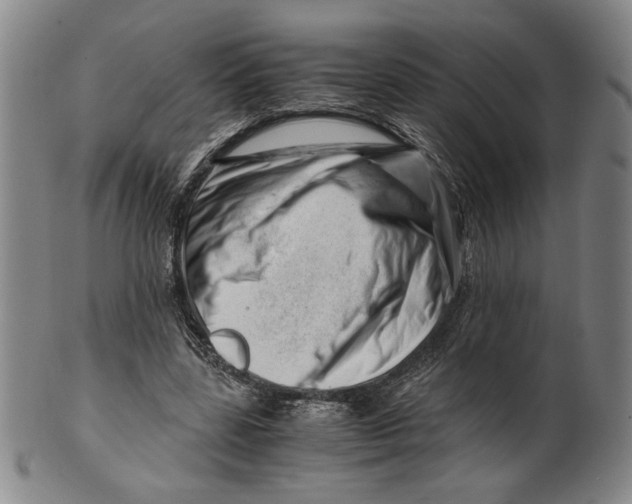 X0000101960539200808081530