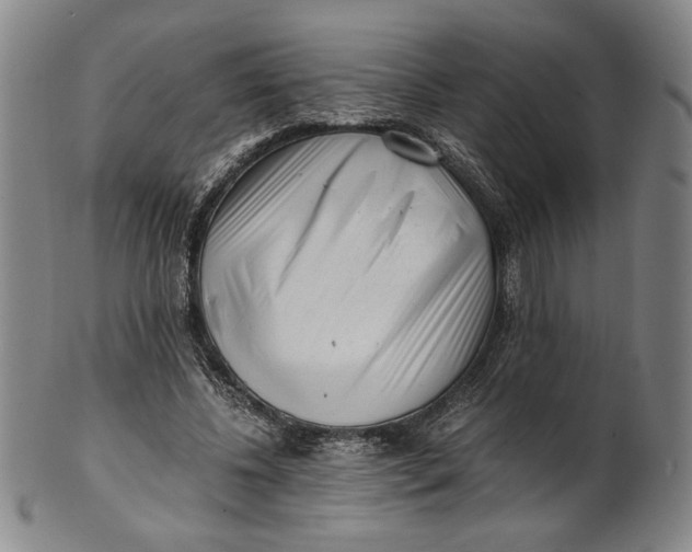 X0000101960540200808081530