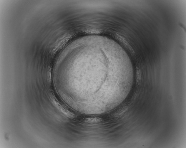 X0000101960541200808081530